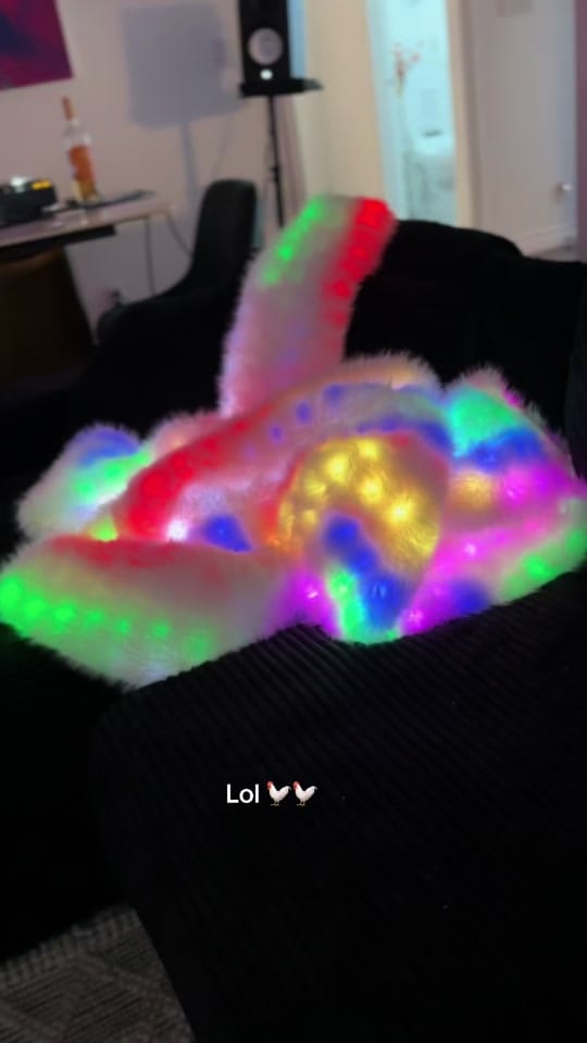 Post 4 by SugarFur on TikTok (video)