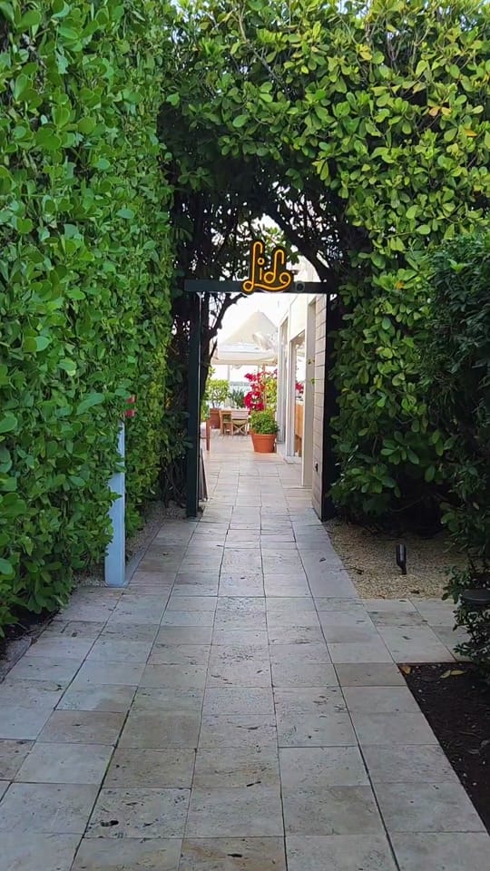 Post 1 by Ellelovesthings🇭🇹 on TikTok (video)