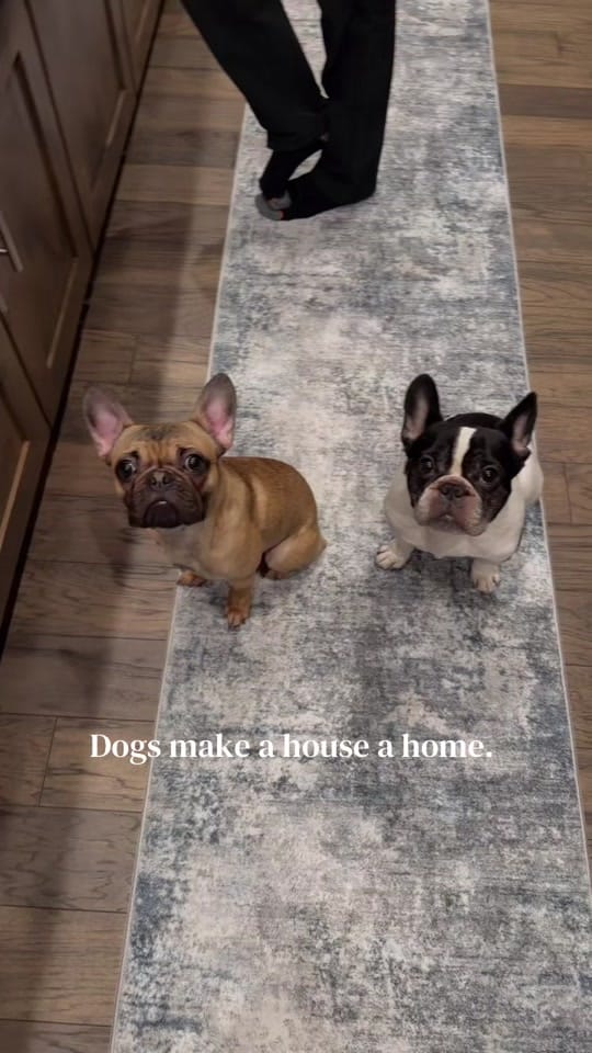 Post 4 by nikkieblair4 on TikTok (video)