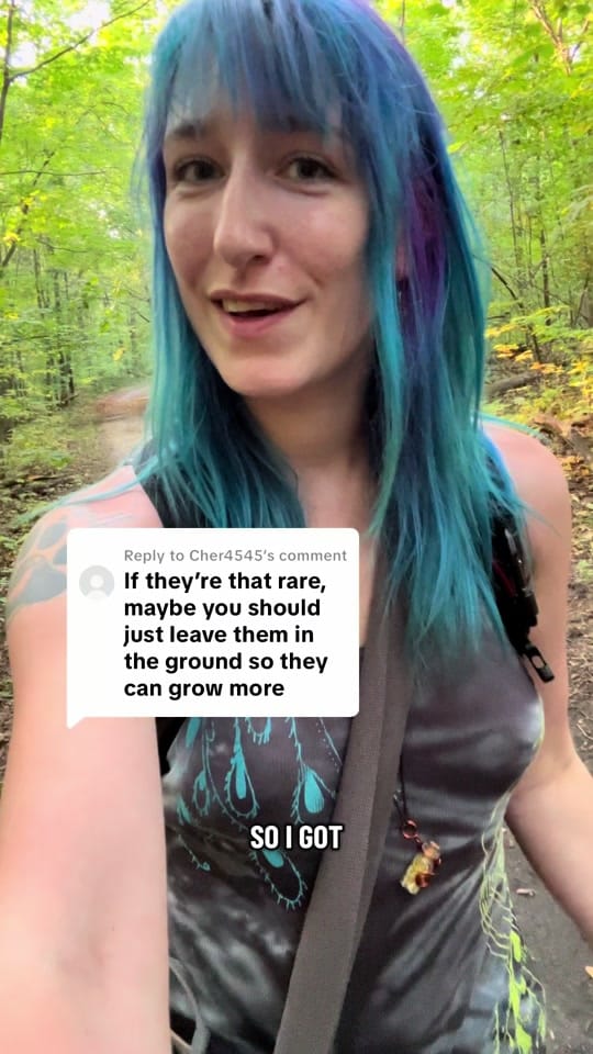 Post 2 by mayakindamischief on TikTok (video)