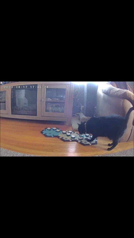 Post 4 by mayakindamischief on TikTok (video)