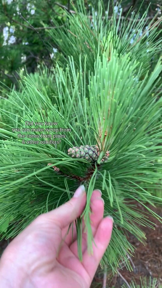 Post 9 by mayakindamischief on TikTok (video)