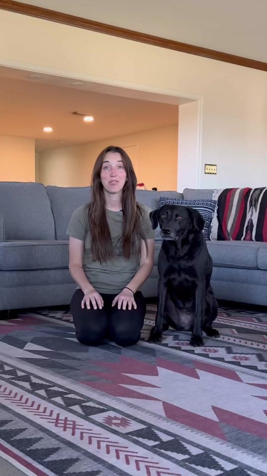 Post 4 by Morgan Starr on TikTok (video)