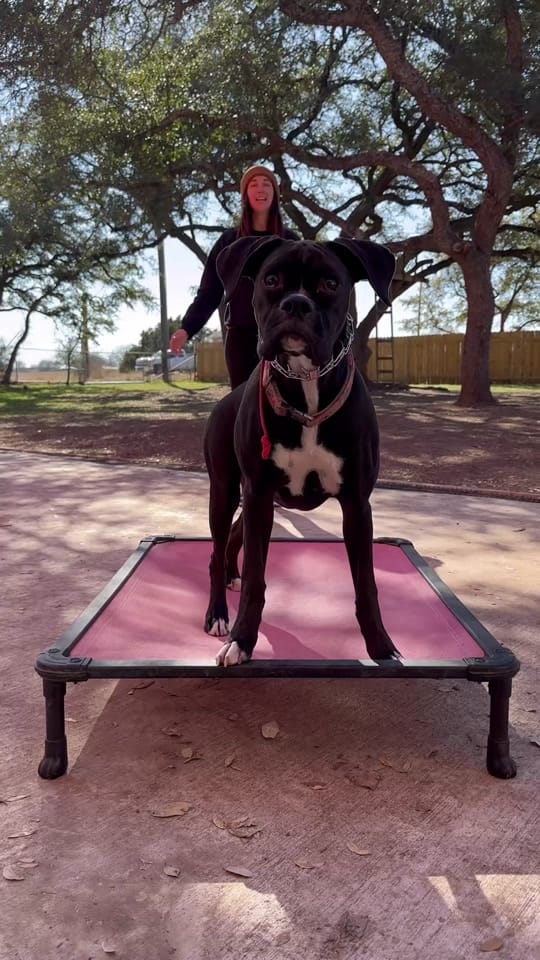 Post 6 by Morgan Starr on TikTok (video)