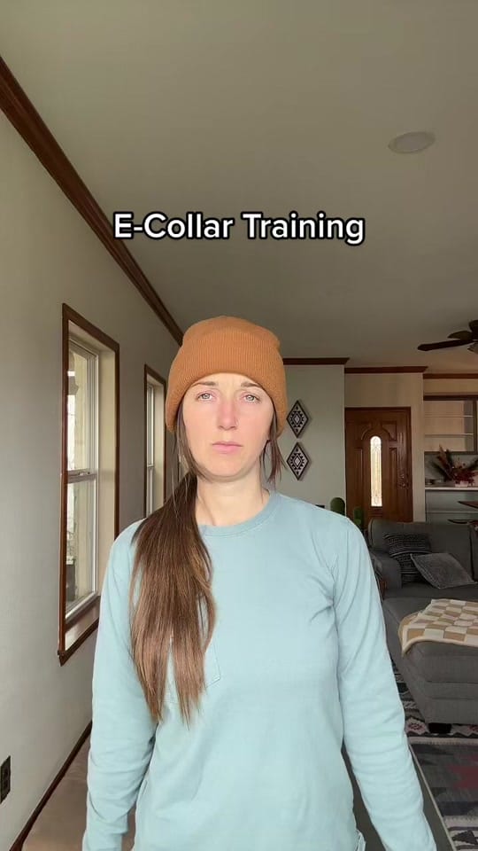 Post 1 by Morgan Starr on TikTok (video)