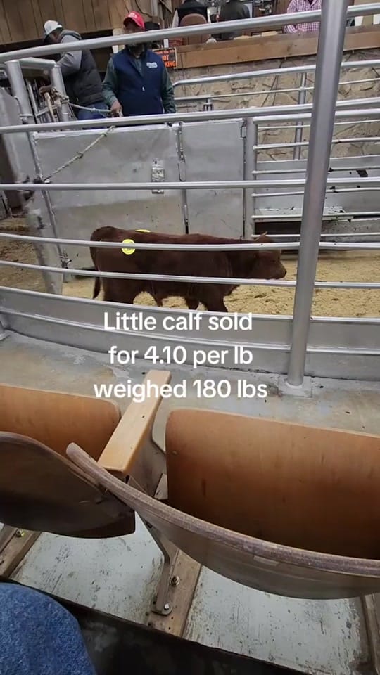 Post 7 by FJL Ranch on TikTok (video)