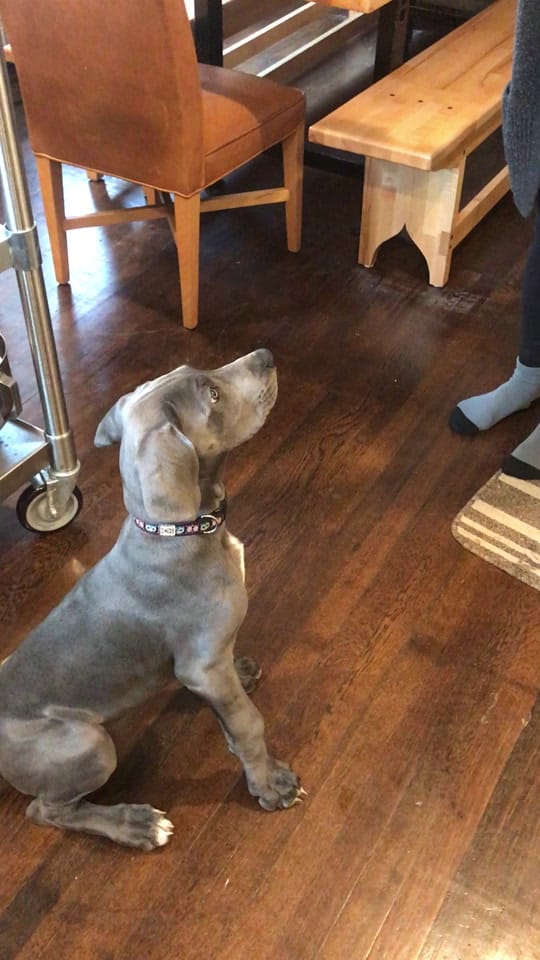 Post 3 by danodiaz1 on TikTok (video)