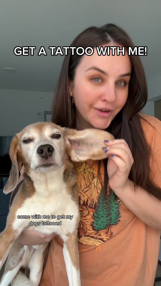 Post 10 by Sam McGraw 🐶 on TikTok (video)
