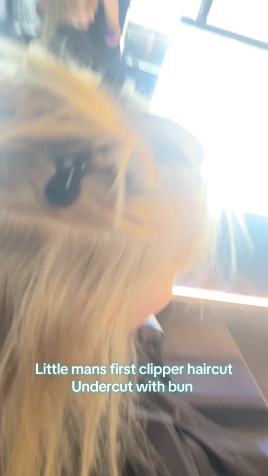 Post 6 by Moone Light Fades on TikTok (video)