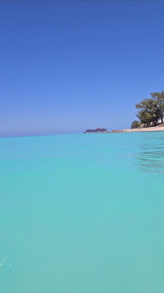 Post 9 by 🌴☀️FLORIDA LIFE☀️🌴4STACY☀️ on TikTok (video)