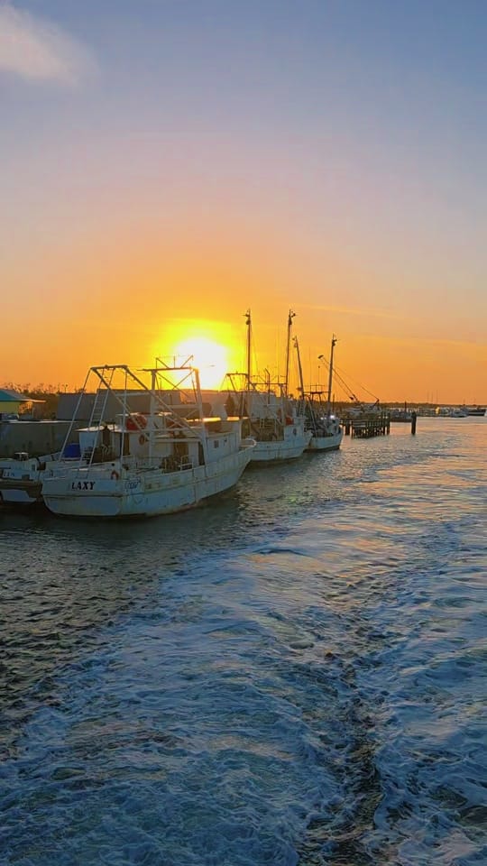 Post 3 by 🌴☀️FLORIDA LIFE☀️🌴4STACY☀️ on TikTok (video)