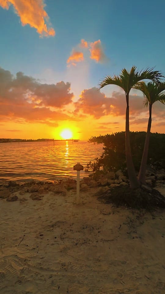 Post 6 by 🌴☀️FLORIDA LIFE☀️🌴4STACY☀️ on TikTok (video)