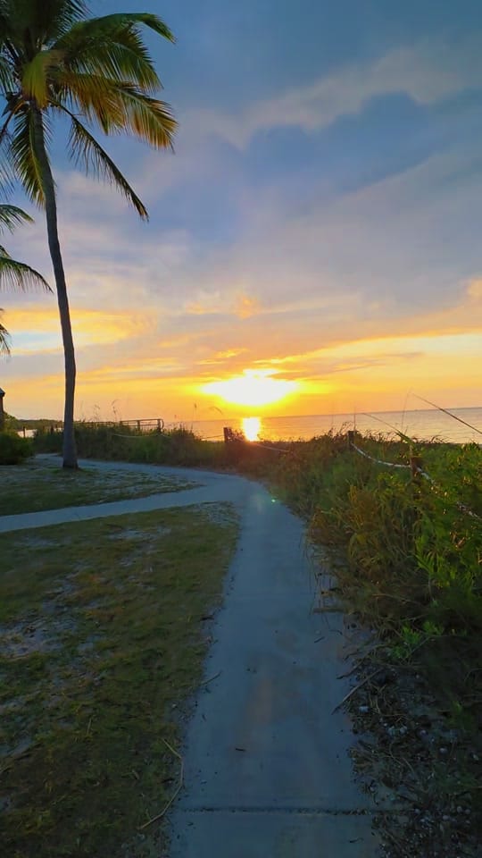 Post 1 by 🌴☀️FLORIDA LIFE☀️🌴4STACY☀️ on TikTok (video)