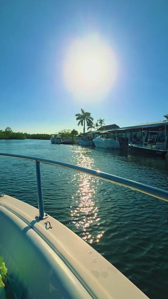 Post 5 by 🌴☀️FLORIDA LIFE☀️🌴4STACY☀️ on TikTok (video)
