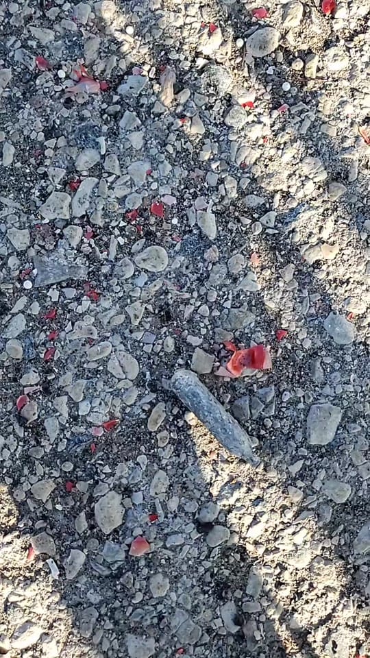 Post 10 by PBX on TikTok (video)