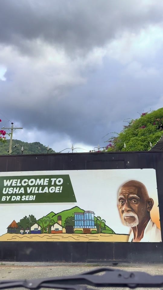 Post 7 by Sheba 🧘🏾‍♀️🍽️🕉️ on TikTok (video)