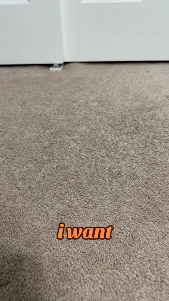 Post 10 by Kouvr | Clover Creations on TikTok (video)