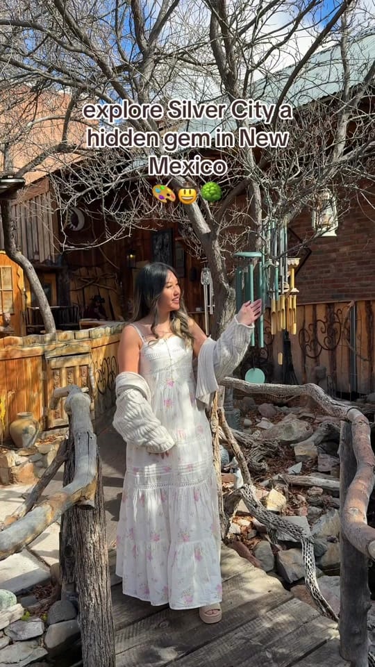 Post 1 by Vina x Dallas ✿ on TikTok (video)