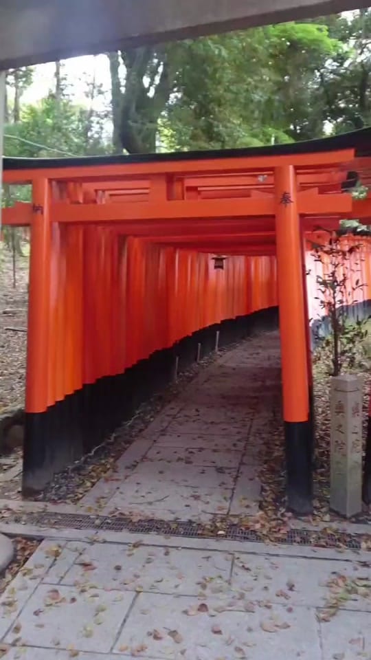 Post 7 by Sisters On Sprees on TikTok (video)