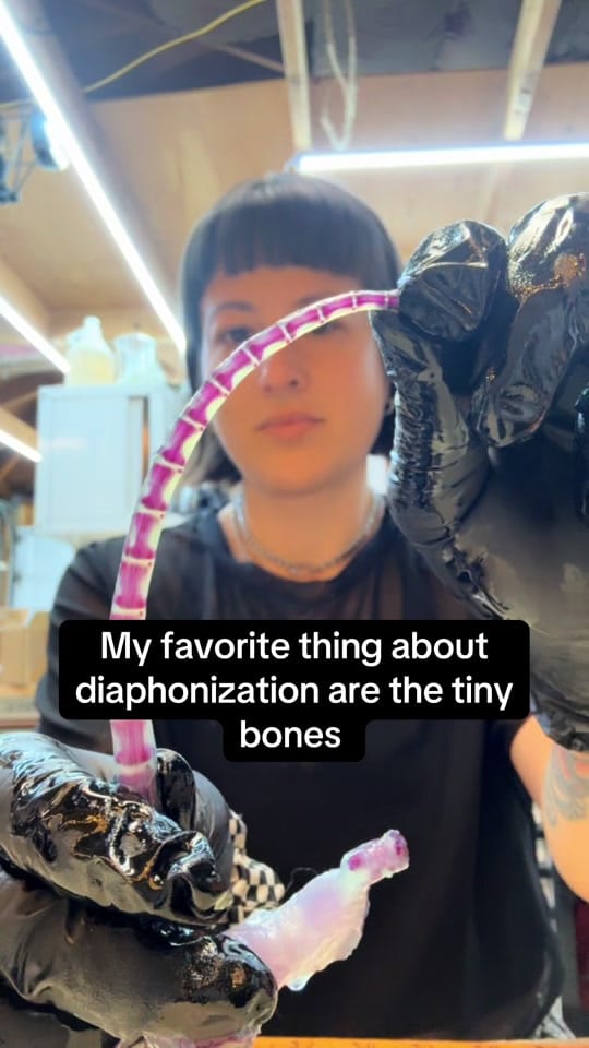 Post 10 by The Terrorium Shop on TikTok (video)