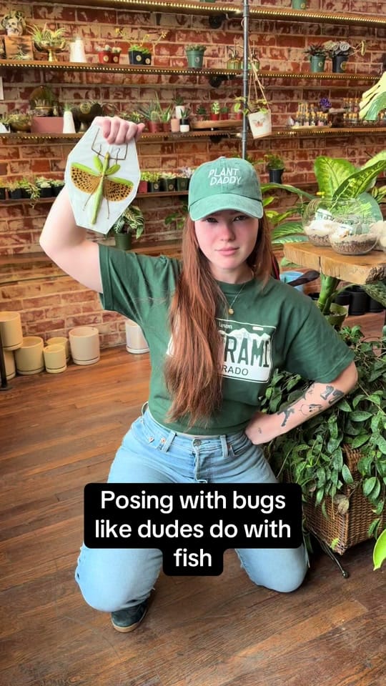 Post 2 by The Terrorium Shop on TikTok (video)