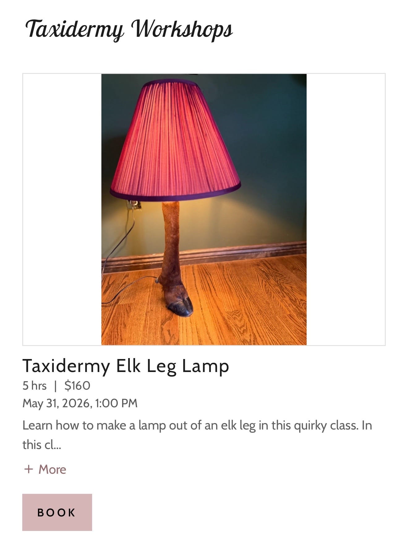 Post 4 by The Terrorium Shop on TikTok (video)