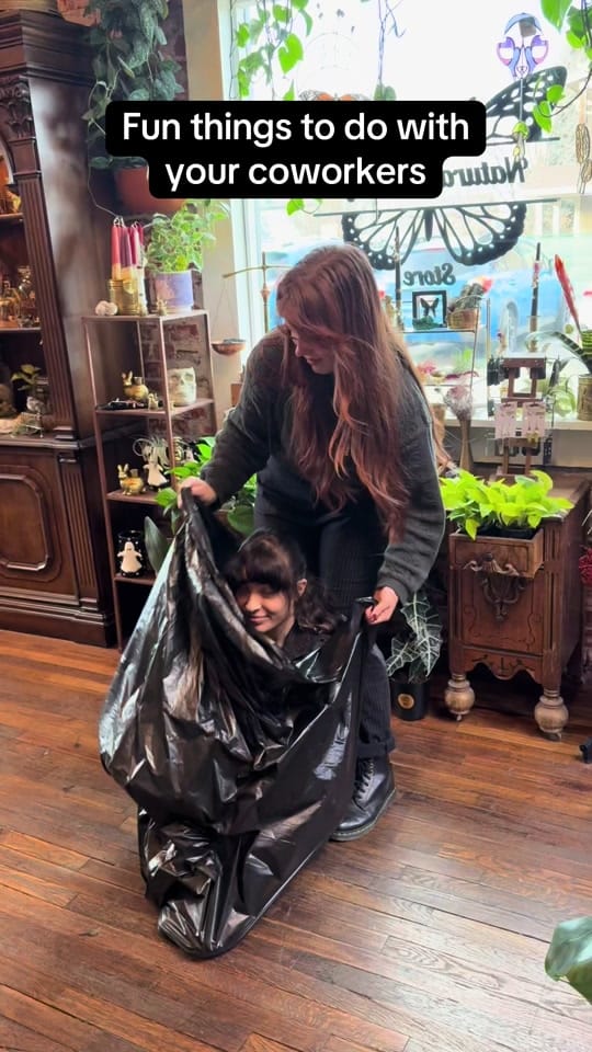 Post 8 by The Terrorium Shop on TikTok (video)