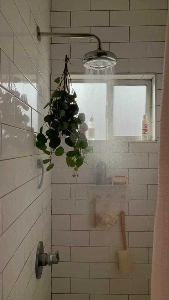Post 8 by sam landreth on TikTok (video)