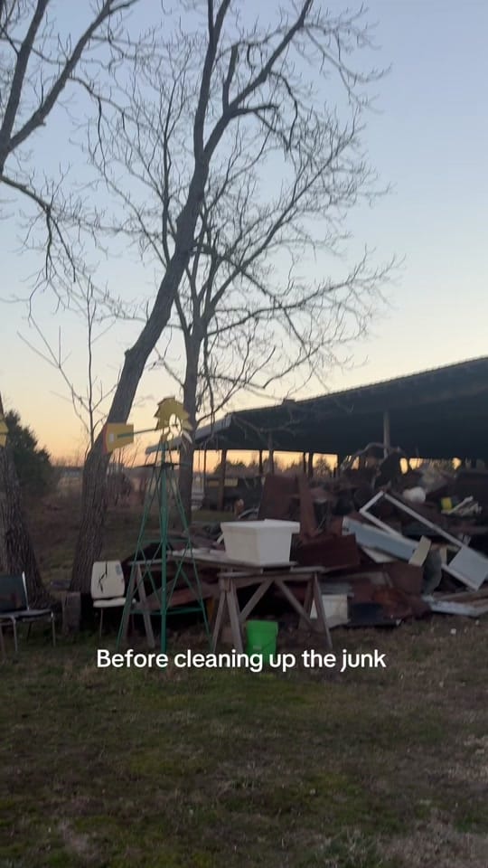 Post 3 by Daisy’s Farm on TikTok (video)