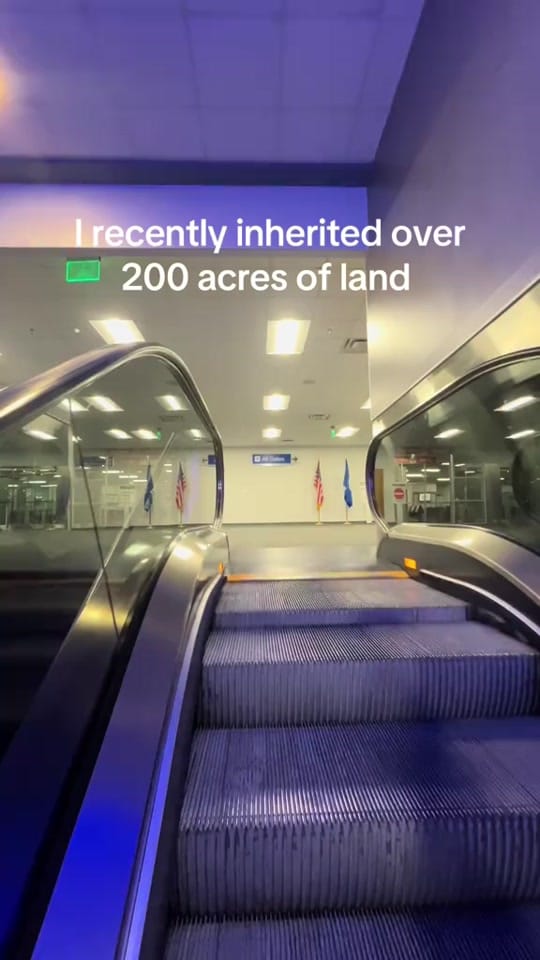 Post 10 by Daisy’s Farm on TikTok (video)