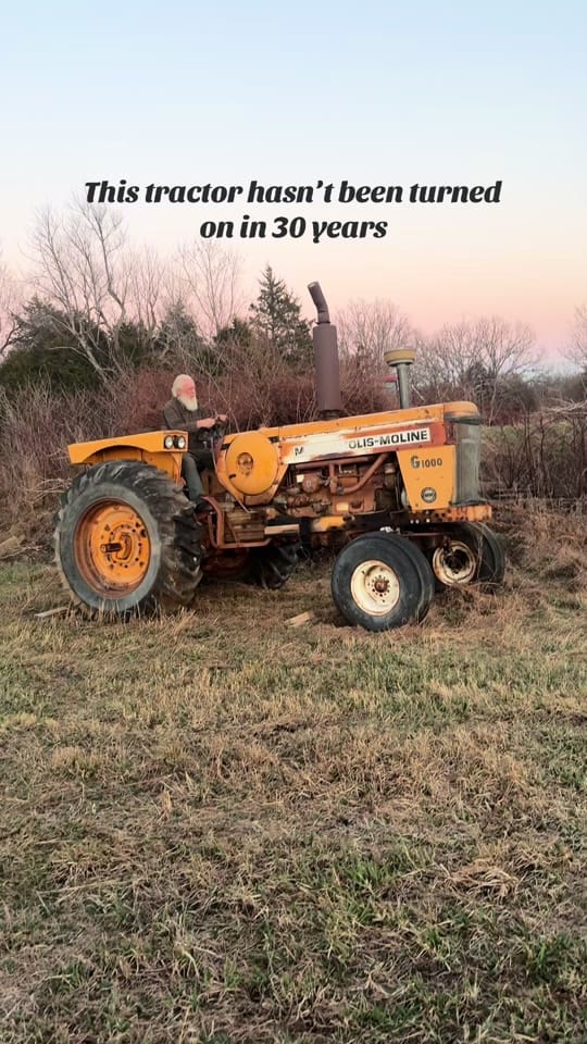 Post 5 by Daisy’s Farm on TikTok (video)