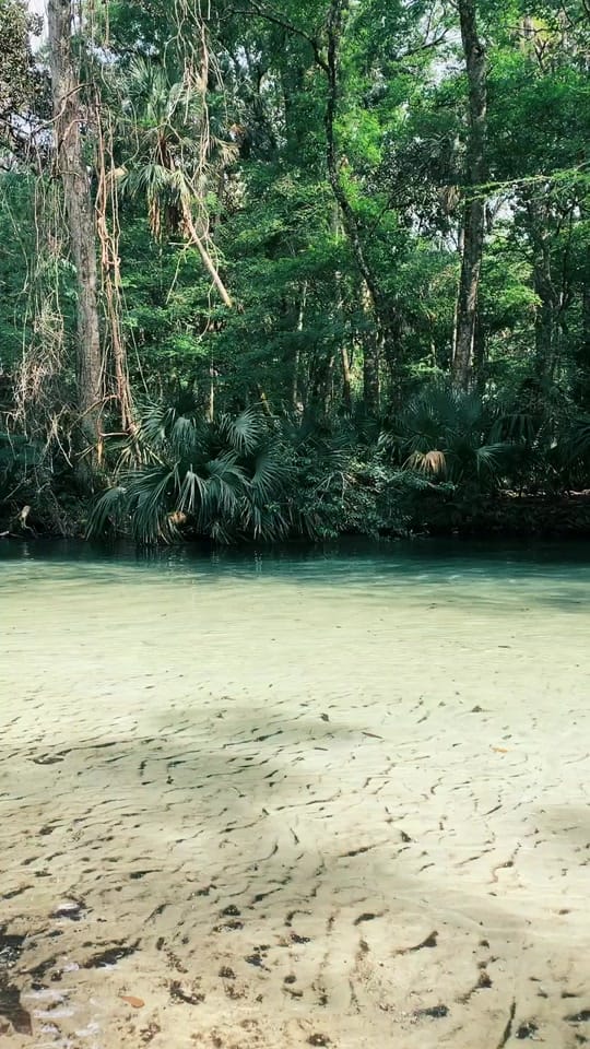 Post 3 by ReadySteadySarah on TikTok (video)