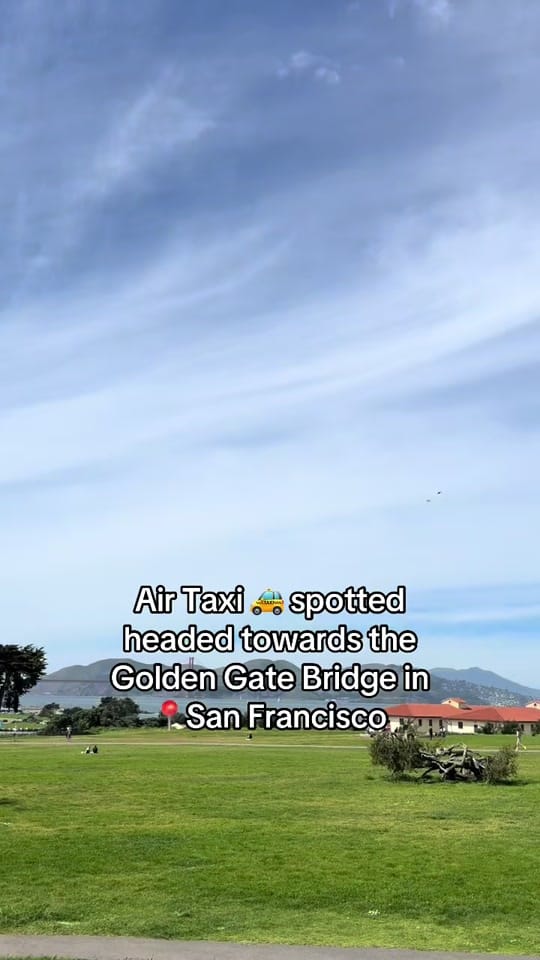 Post 1 by Griselda | SF 🤘🏽❤️ on TikTok (video)