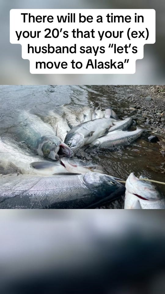 Post 9 by Kenai_Summer on TikTok (video)