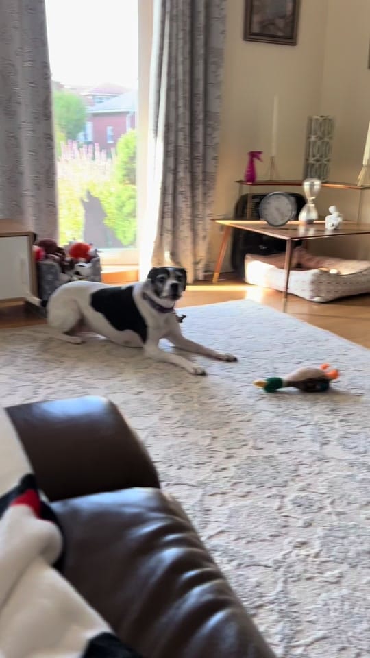 Post 10 by Cailey on TikTok (video)