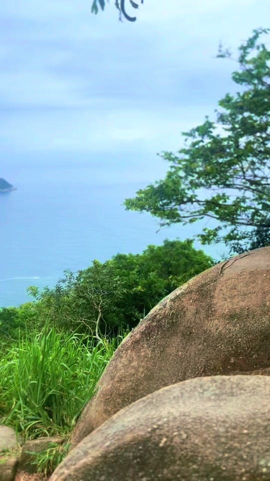 Post 4 by Jah on TikTok (video)