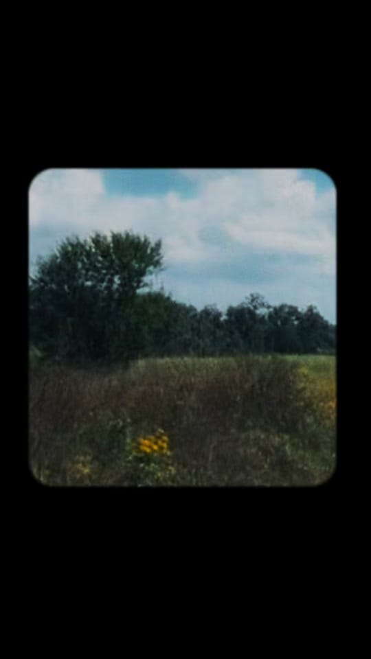 Post 4 by Angela Rigamonti on TikTok (video)