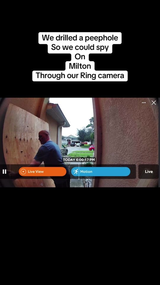 Post 8 by D Battaglia on TikTok (video)