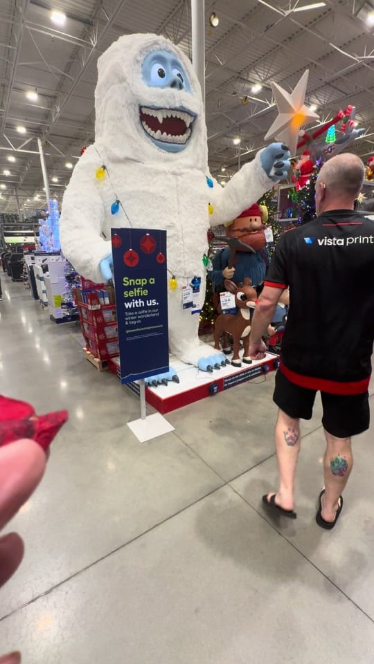 Post 4 by D Battaglia on TikTok (video)