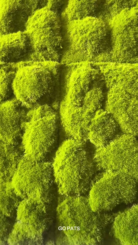 Post 2 by Maeve Nelson Designs on TikTok (video)