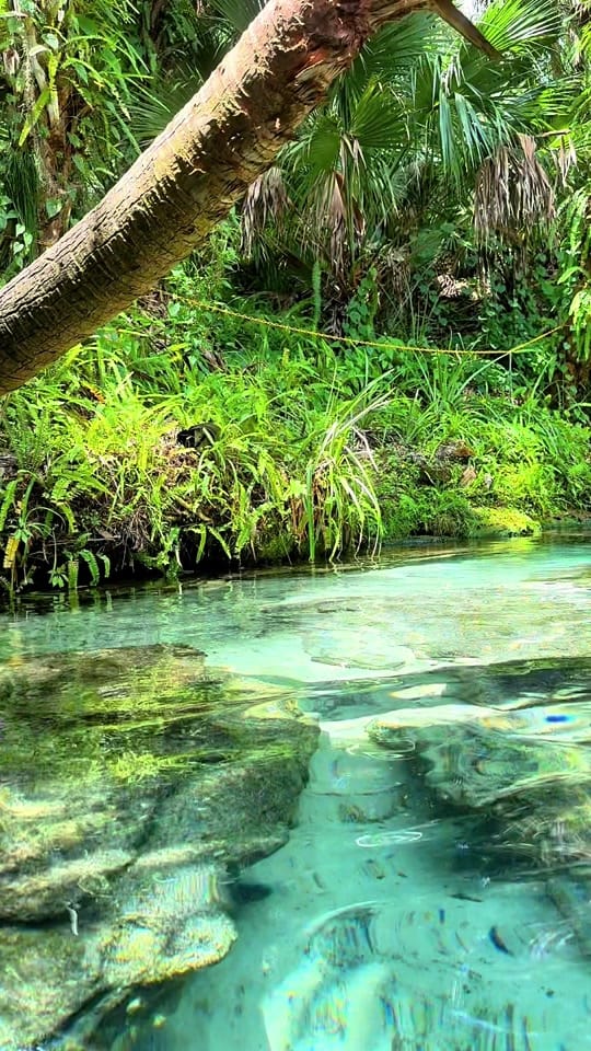 Post 9 by SARA | Travel Nature Yoga on TikTok (video)