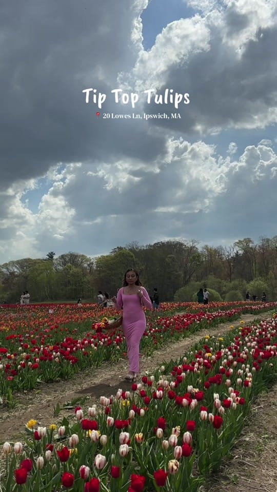 Post 6 by Kimmy | UGC creator on TikTok (video)