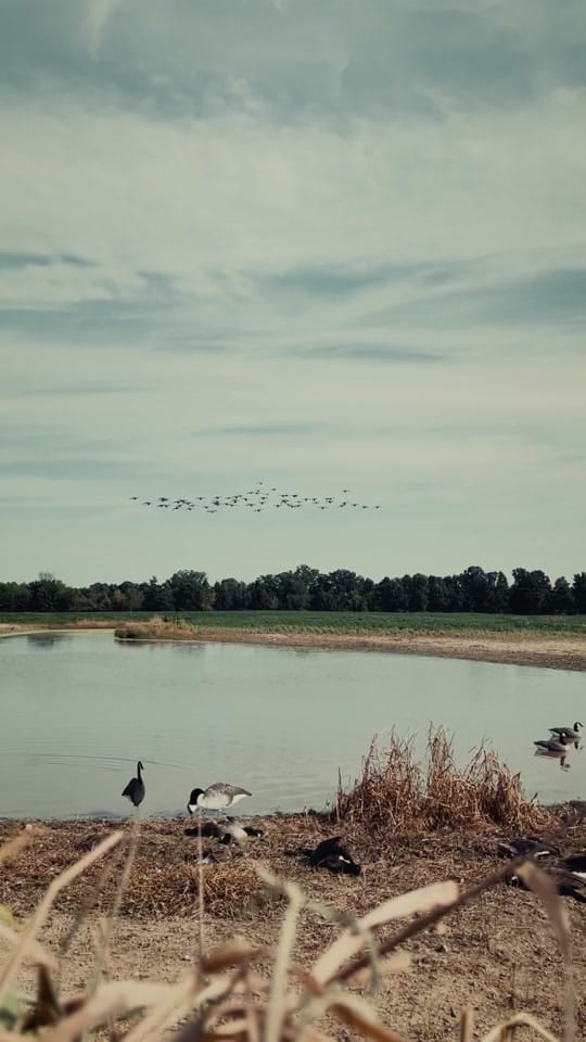 Post 1 by sethvbandd on TikTok (video)