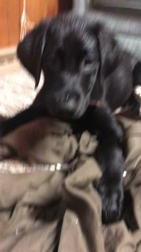 Post 9 by sethvbandd on TikTok (video)