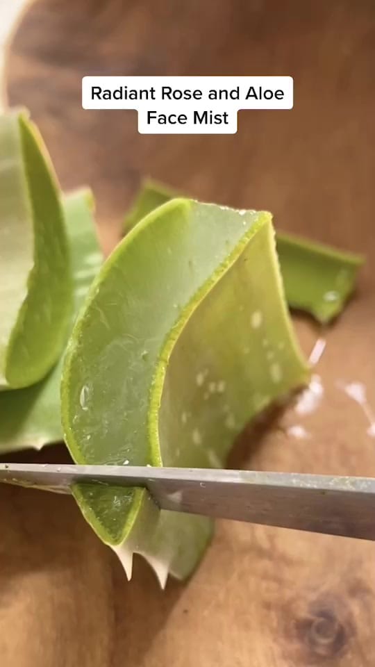 Post 10 by L  E  G  A  C  Y on TikTok (video)