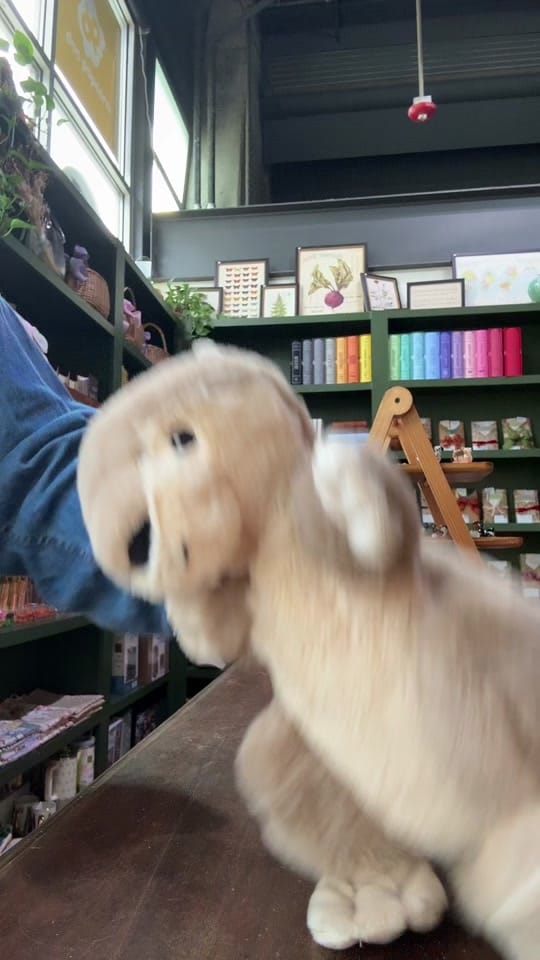 Post 6 by Storytellers Bookshop on TikTok (video)