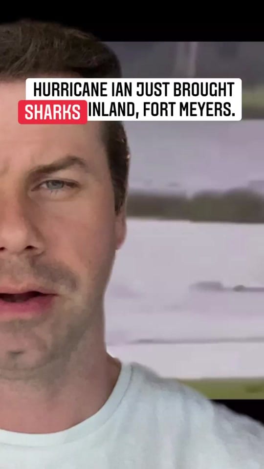 Post 9 by Mark Wagner on TikTok (video)