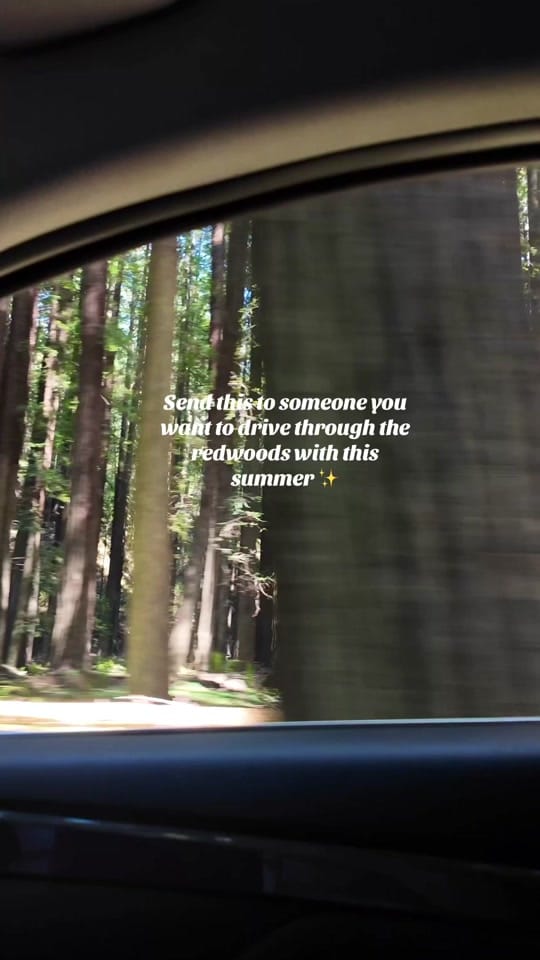 Post 7 by ravansroutes on TikTok (video)