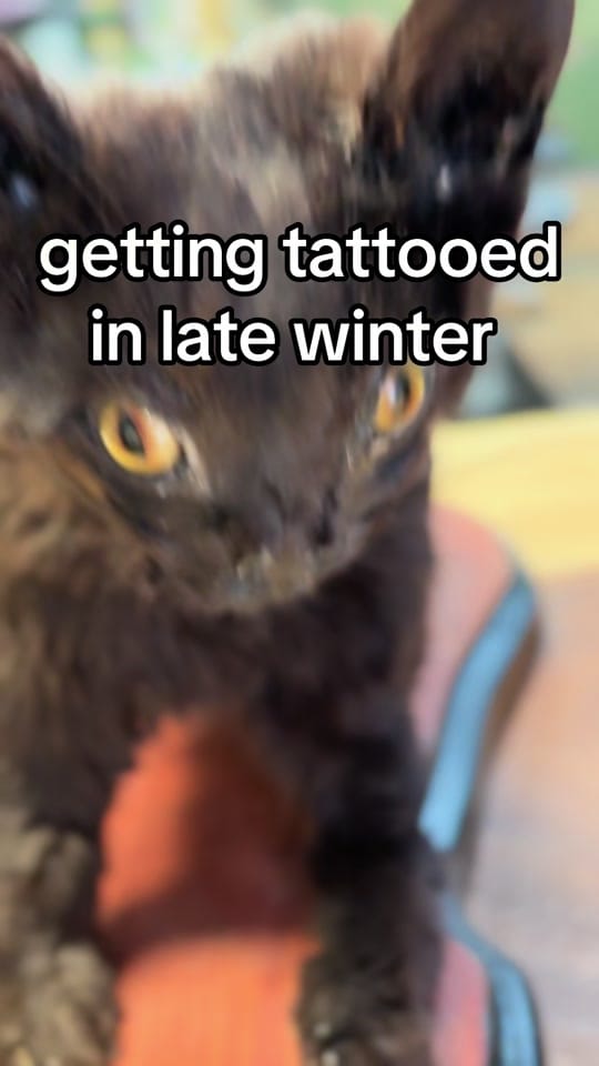 Post 2 by Omnia Tattoo & Arts 🇨🇦 on TikTok (video)