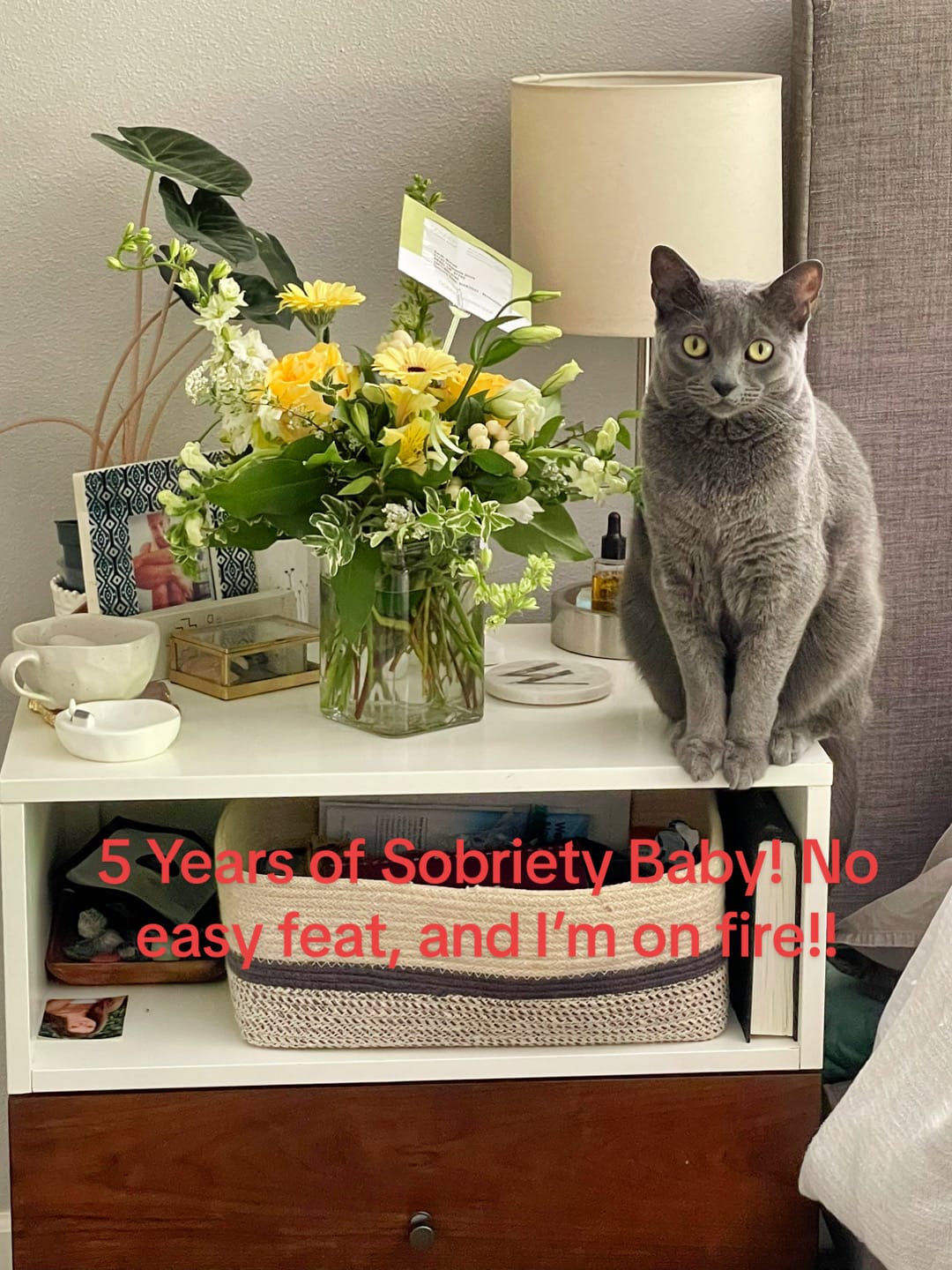 Post 8 by Missmoneypenny on TikTok (video)